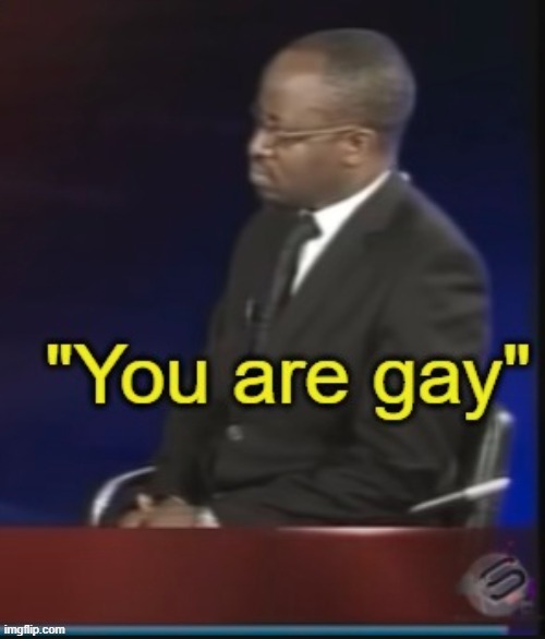 You are gay | image tagged in you are gay | made w/ Imgflip meme maker