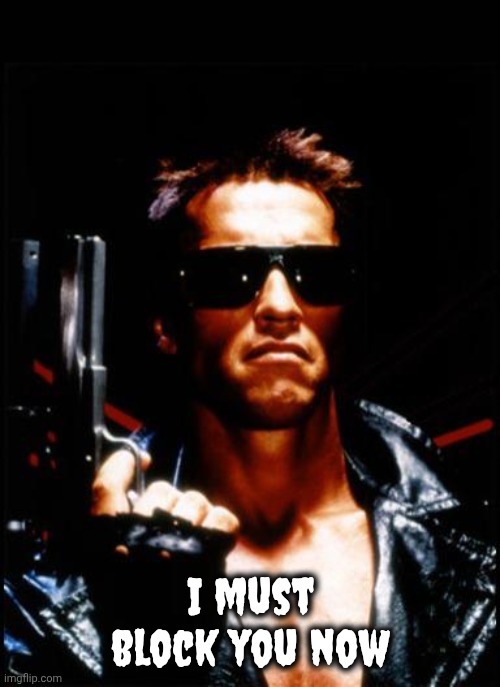I must block you now | image tagged in terminator arnold schwarzenegger | made w/ Imgflip meme maker