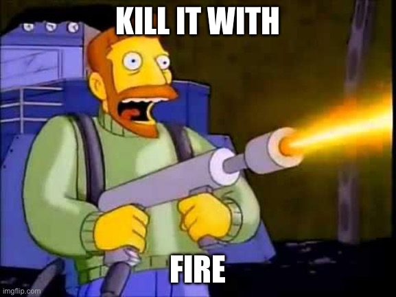 KILL IT WITH FIRE | image tagged in kill it with fire | made w/ Imgflip meme maker