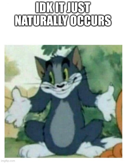 IDK Tom Template | IDK IT JUST NATURALLY OCCURS | image tagged in idk tom template | made w/ Imgflip meme maker