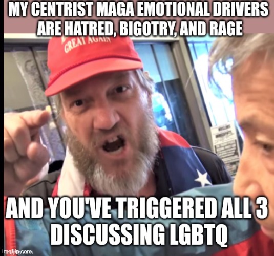 Besides everything, maga really gets triggered on this topic. But concerning the Epstein files? Jeffrey's bestie get a thumbs up | image tagged in trump pedo,what triggers maga,besides everything,lgbtq,always | made w/ Imgflip meme maker