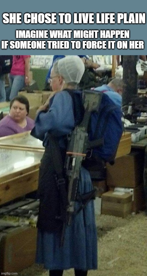 Handmaid this | IMAGINE WHAT MIGHT HAPPEN IF SOMEONE TRIED TO FORCE IT ON HER; SHE CHOSE TO LIVE LIFE PLAIN | image tagged in choice not submission | made w/ Imgflip meme maker