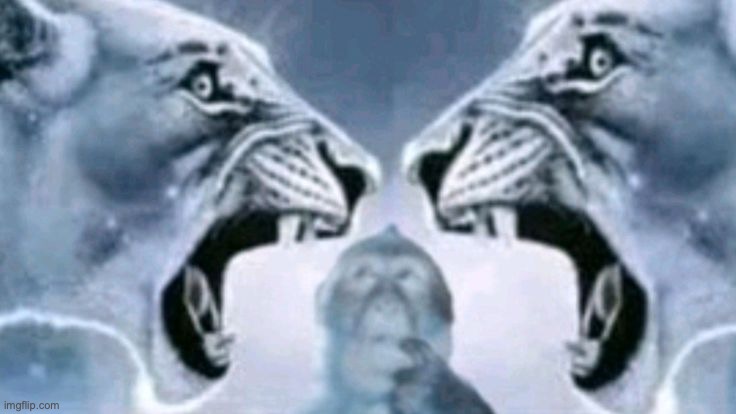 Lion roaring at lion with confused monkey | image tagged in lion roaring at lion with confused monkey | made w/ Imgflip meme maker