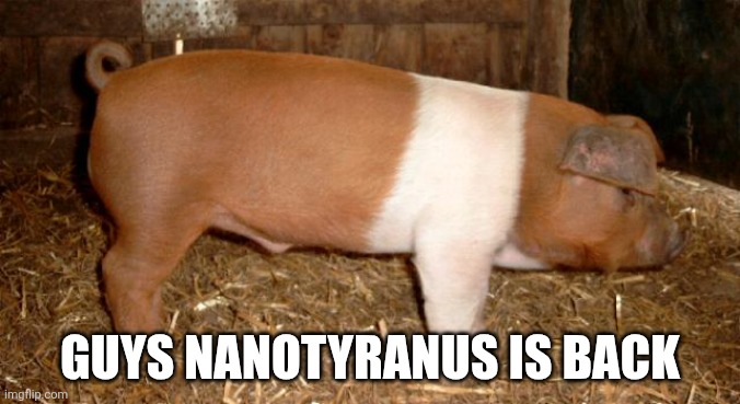 Danish protest pig | GUYS NANOTYRANUS IS BACK | image tagged in danish protest pig | made w/ Imgflip meme maker