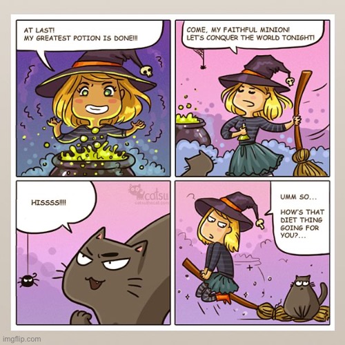 Catsu | image tagged in cats,catsu,comics,dita,witch,fat cat | made w/ Imgflip meme maker