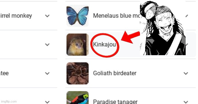 image tagged in anime | made w/ Imgflip meme maker