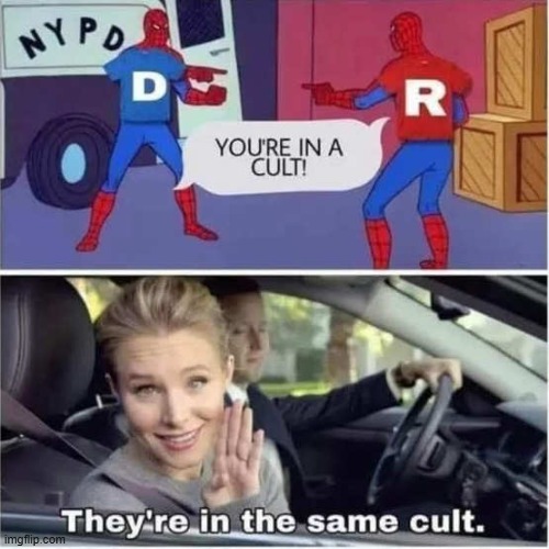 Both Parties are Con artists and Swindlers, they don't care about you at alll | image tagged in cult,democrats,republicans | made w/ Imgflip meme maker