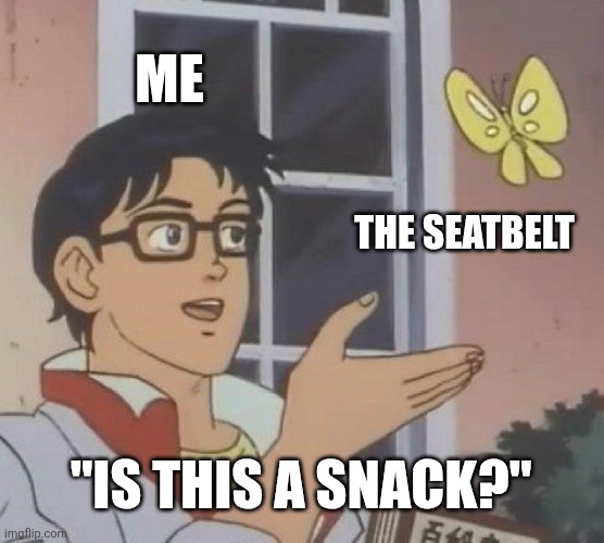 yes I still do this. it tastes good. | ME; THE SEATBELT; "IS THIS A SNACK?" | image tagged in memes,is this a pigeon | made w/ Imgflip meme maker