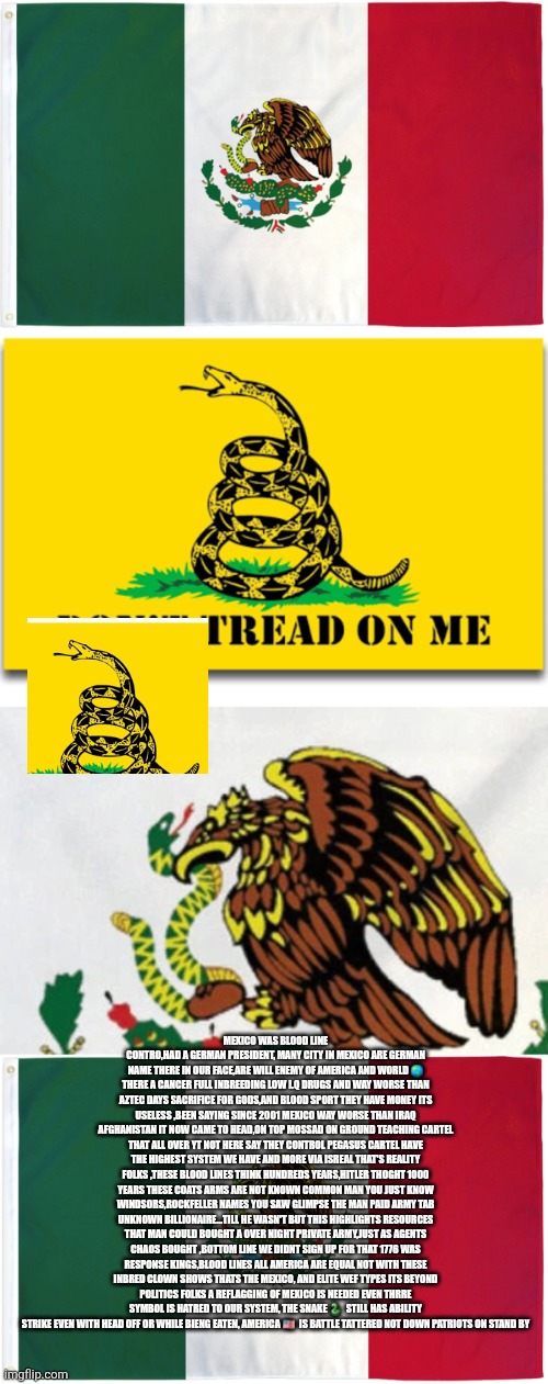 Symbol of hate,destruction and threat to world peace,patriot sounds alarm Mexico reflagging needed | MEXICO WAS BLOOD LINE CONTRO,HAD A GERMAN PRESIDENT, MANY CITY IN MEXICO ARE GERMAN NAME THERE IN OUR FACE,ARE WILL ENEMY OF AMERICA AND WORLD 🌎 THERE A CANCER FULL INBREEDING LOW I.Q DRUGS AND WAY WORSE THAN AZTEC DAYS SACRIFICE FOR GODS,AND BLOOD SPORT THEY HAVE MONEY ITS USELESS ,BEEN SAYING SINCE 2001 MEXICO WAY WORSE THAN IRAQ AFGHANISTAN IT NOW CAME TO HEAD,ON TOP MOSSAD ON GROUND TEACHING CARTEL THAT ALL OVER YT NOT HERE SAY THEY CONTROL PEGASUS CARTEL HAVE THE HIGHEST SYSTEM WE HAVE AND MORE VIA ISREAL THAT'S REALITY FOLKS ,THESE BLOOD LINES THINK HUNDREDS YEARS,HITLER THOGHT 1000 YEARS THESE COATS ARMS ARE NOT KNOWN COMMON MAN YOU JUST KNOW WINDSORS,ROCKFELLER NAMES YOU SAW GLIMPSE THE MAN PAID ARMY TAB UNKNOWN BILLIONAIRE...TILL HE WASN'T BUT THIS HIGHLIGHTS RESOURCES THAT MAN COULD BOUGHT A OVER NIGHT PRIVATE ARMY,JUST AS AGENTS CHAOS BOUGHT ,BOTTOM LINE WE DIDNT SIGN UP FOR THAT 1776 WAS RESPONSE KINGS,BLOOD LINES ALL AMERICA ARE EQUAL NOT WITH THESE INBRED CLOWN SHOWS THATS THE MEXICO, AND ELITE WEF TYPES ITS BEYOND POLITICS FOLKS A REFLAGGING OF MEXICO IS NEEDED EVEN THRRE SYMBOL IS HATRED TO OUR SYSTEM, THE SNAKE 🐍  STILL HAS ABILITY STRIKE EVEN WITH HEAD OFF OR WHILE BIENG EATEN, AMERICA 🇺🇸  IS BATTLE TATTERED NOT DOWN PATRIOTS ON STAND BY | image tagged in mexican,mexico,snake | made w/ Imgflip meme maker