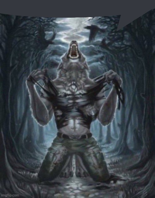 alpha wolf | image tagged in alpha wolf | made w/ Imgflip meme maker