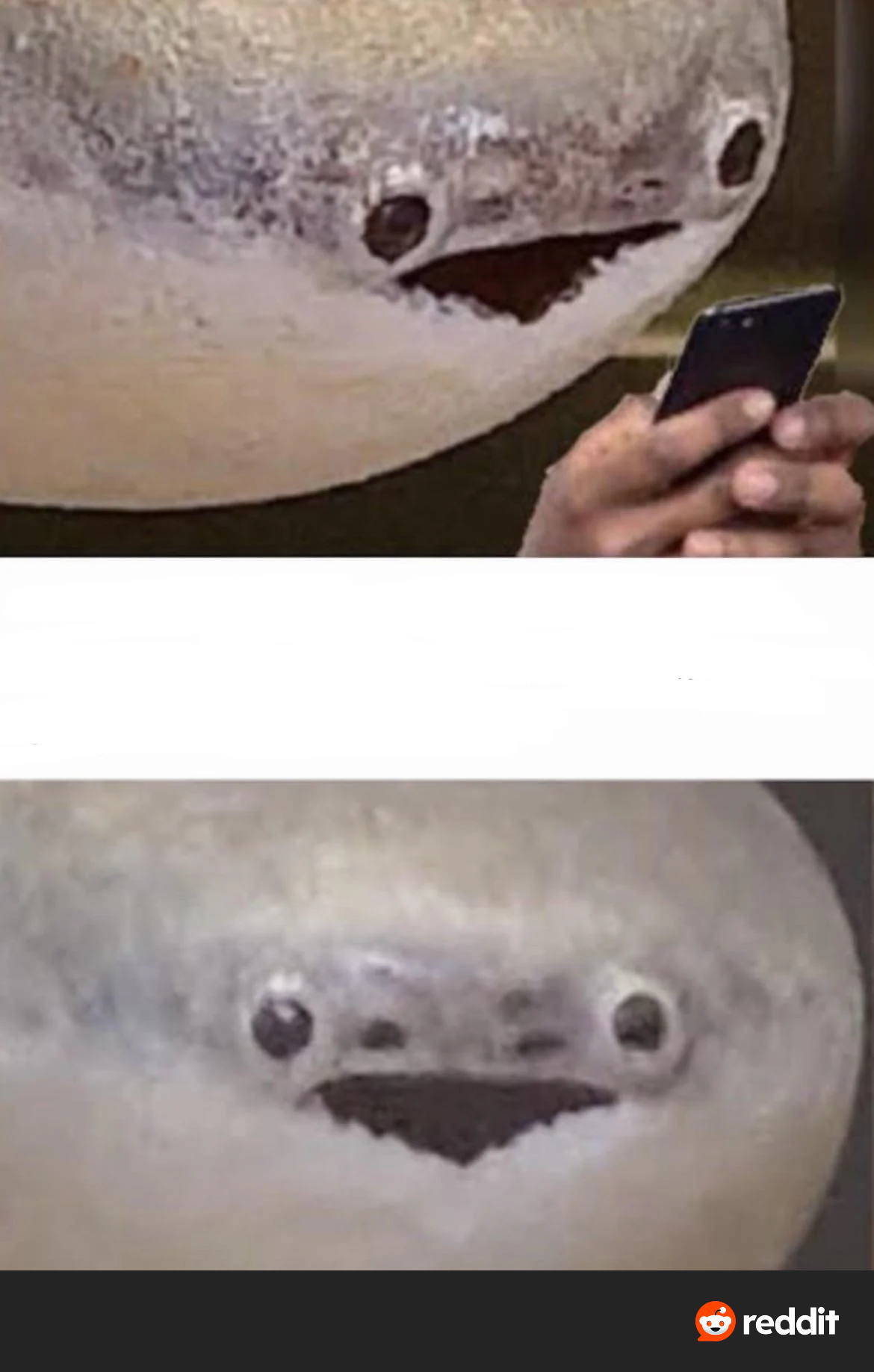 Sacabambaspis argument Blank Meme Template