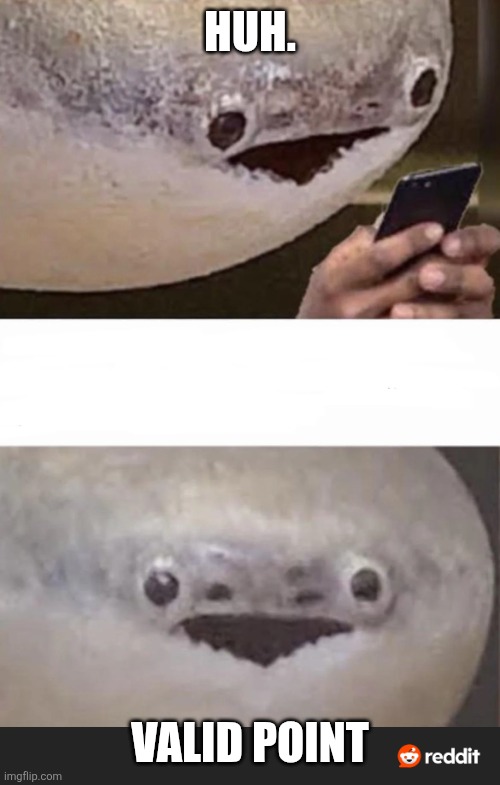 Sacabambaspis concedes your argument | HUH. VALID POINT | image tagged in sacabambaspis argument | made w/ Imgflip meme maker