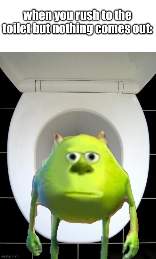 no $#!%, sherlock. | when you rush to the toilet but nothing comes out: | image tagged in toilet | made w/ Imgflip meme maker