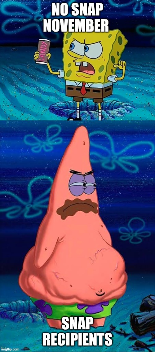 Oink oink! What you mean dis Schumer Shutdown affec'in ma FOO STAMPS? Y'ALL CAN'T TOUCH MA FOO STAMP!!! | NO SNAP NOVEMBER; SNAP RECIPIENTS | image tagged in you took my only food now i'm gonna starve patrick | made w/ Imgflip meme maker