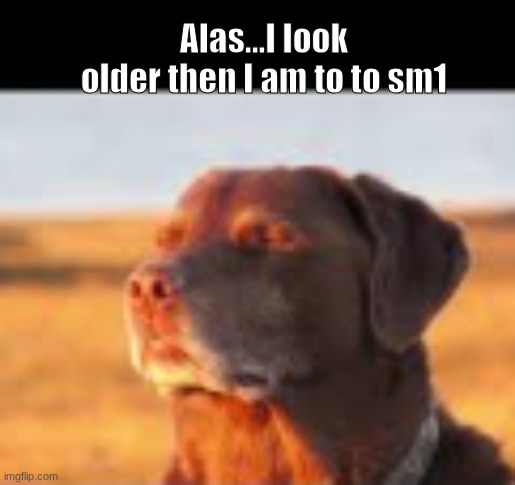 Fuck yes | Alas...I look older then I am to to sm1 | image tagged in fuck yes | made w/ Imgflip meme maker