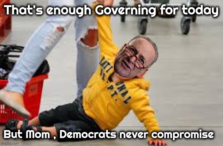 Spoiled Brats | That's enough Governing for today But Mom , Democrats never compromise | image tagged in tantrum store,democrats democratting,politicians suck,government shutdown,chuck schumer | made w/ Imgflip meme maker