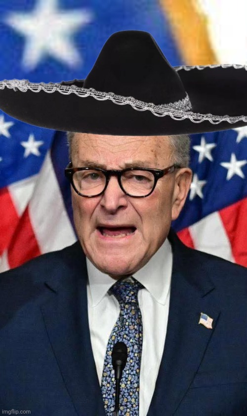 Chuck Schumer flag Blank Meme Template