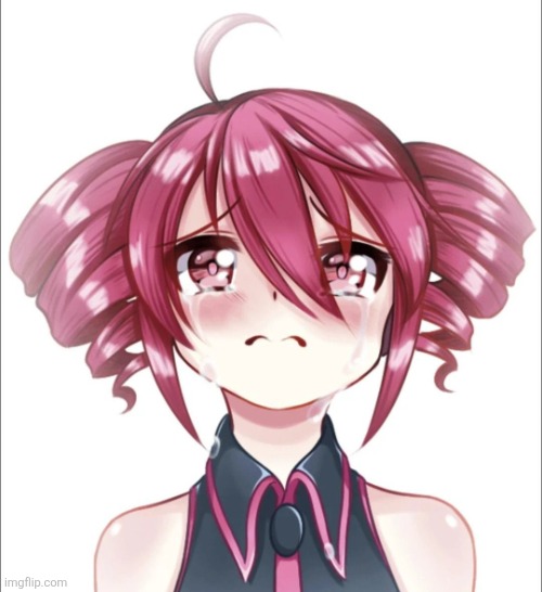 Crying Teto | image tagged in crying teto | made w/ Imgflip meme maker