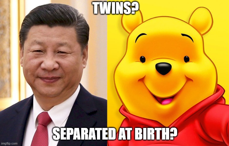 Xi Jingping the Pooh | TWINS? SEPARATED AT BIRTH? | image tagged in twins | made w/ Imgflip meme maker