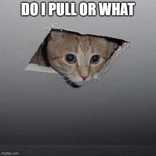 DO I PULL OR WHAT | image tagged in memes,ceiling cat | made w/ Imgflip meme maker