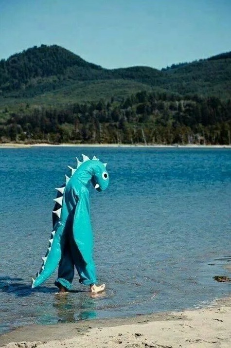 How is Nessie Blank Meme Template