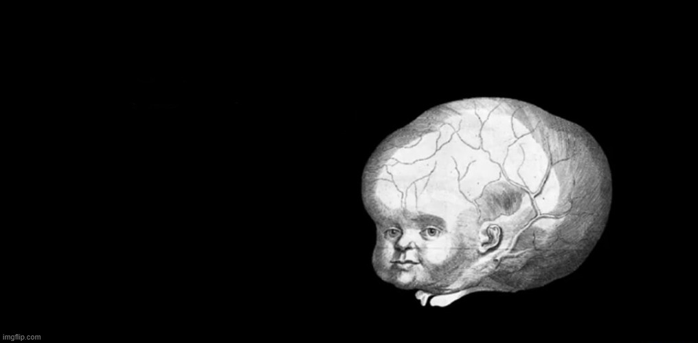 image tagged in the smert beb | made w/ Imgflip meme maker