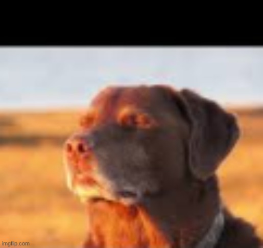 Fuck yes | image tagged in fuck yes | made w/ Imgflip meme maker