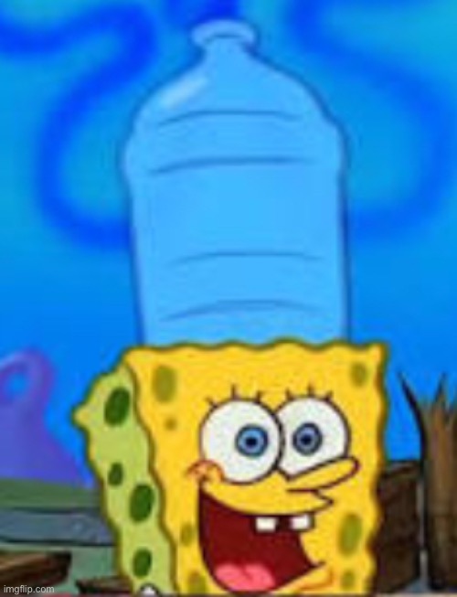spongebob head stuck in bottle | image tagged in spongebob head stuck in bottle | made w/ Imgflip meme maker