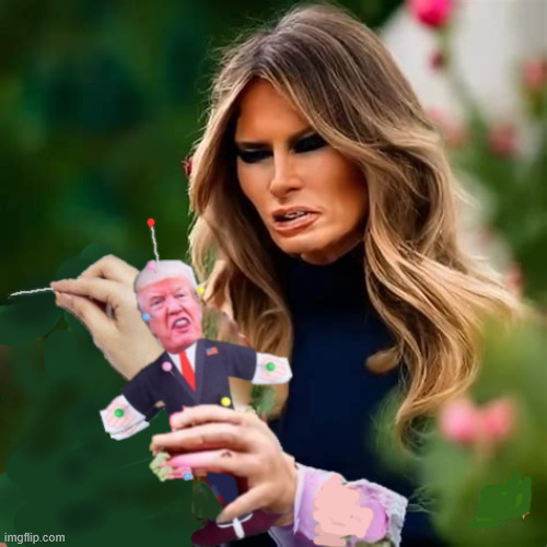 Why Trump's health is failing | image tagged in why trump's health is failing,trump voodoo doll,stick it to em',pokey | made w/ Imgflip meme maker