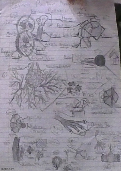 "No need to go overboard" ahh image | made w/ Imgflip meme maker