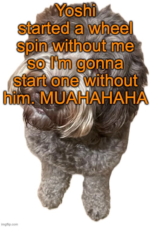 Comment to get added or sum shit idfk anymore | Yoshi started a wheel spin without me so I'm gonna start one without him. MUAHAHAHA | image tagged in norther's dog | made w/ Imgflip meme maker