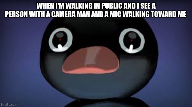 cover your face | WHEN I'M WALKING IN PUBLIC AND I SEE A PERSON WITH A CAMERA MAN AND A MIC WALKING TOWARD ME | image tagged in memes | made w/ Imgflip meme maker