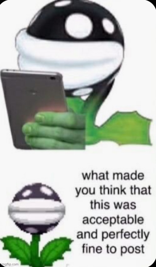 Piranha plant judging your post. | image tagged in piranha plant judging your post | made w/ Imgflip meme maker