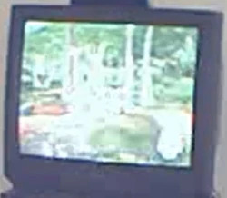 wtf?!?! Blank Meme Template