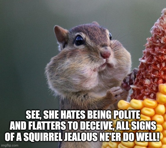 Thanksgiving Squirrel | SEE, SHE HATES BEING POLITE AND FLATTERS TO DECEIVE, ALL SIGNS OF A SQUIRREL JEALOUS NE'ER DO WELL! | image tagged in thanksgiving squirrel | made w/ Imgflip meme maker