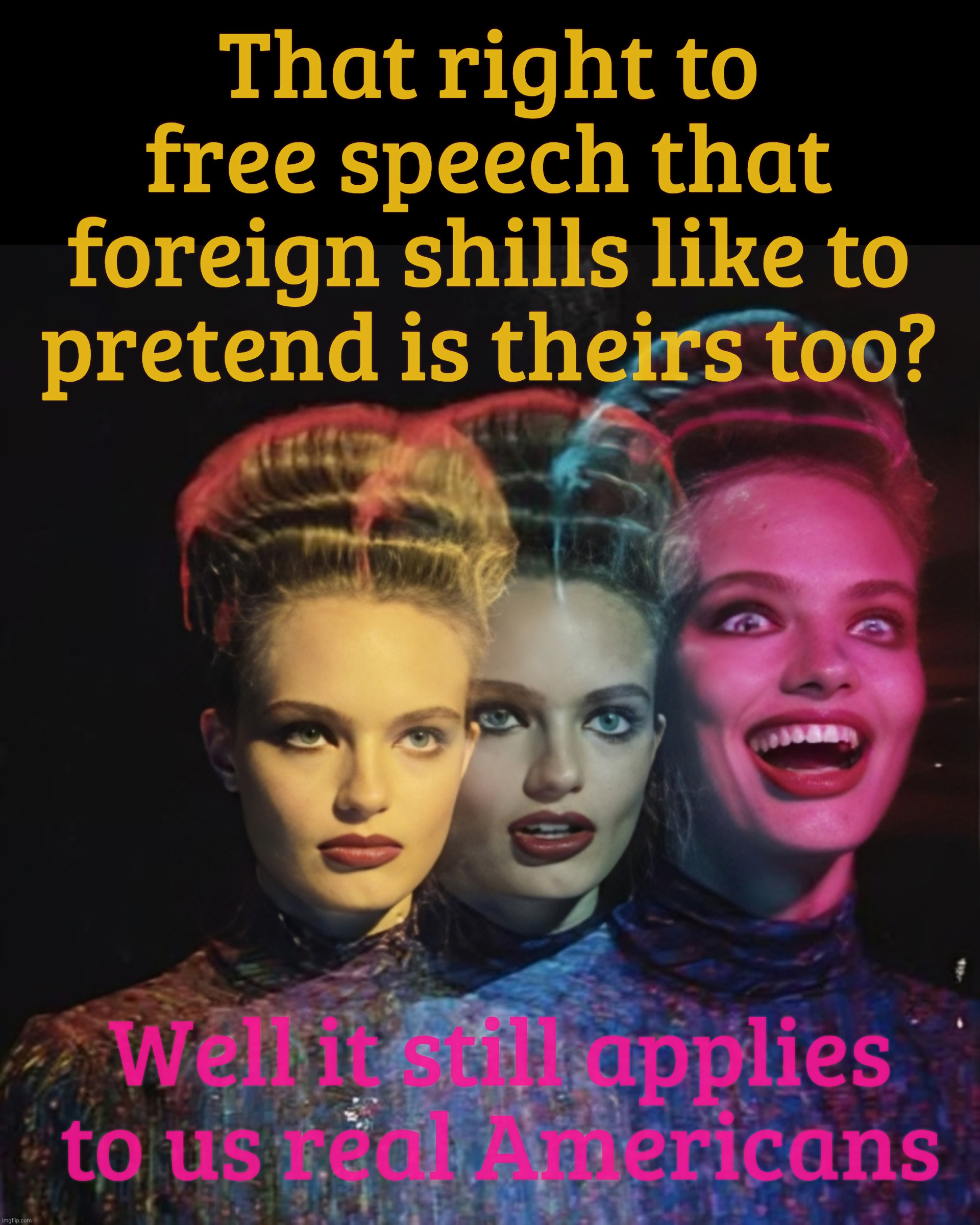 l | That right to free speech that
foreign shills like to pretend is theirs too? Well it still applies
to us real Americans | image tagged in l | made w/ Imgflip meme maker