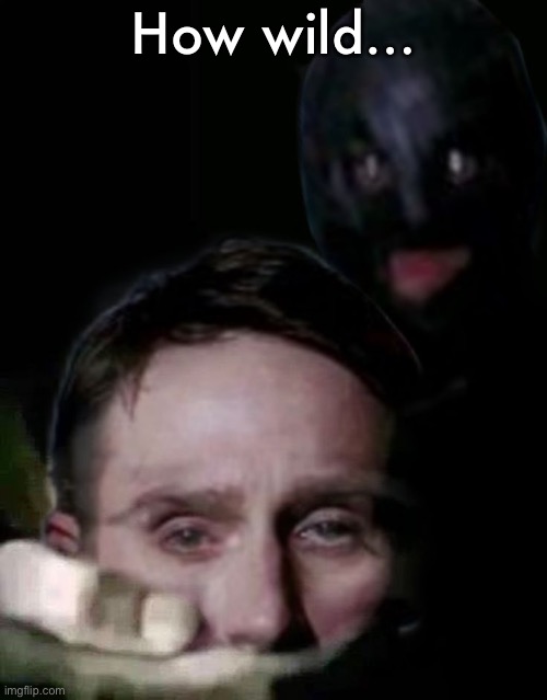 Shush (The Collector Edition) | How wild… | image tagged in shush the collector edition | made w/ Imgflip meme maker