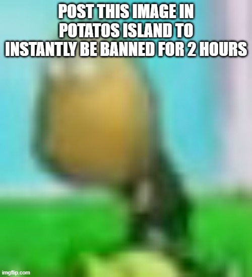 Tall-nut zombie | POST THIS IMAGE IN POTATOS ISLAND TO INSTANTLY BE BANNED FOR 2 HOURS | image tagged in tall-nut zombie | made w/ Imgflip meme maker