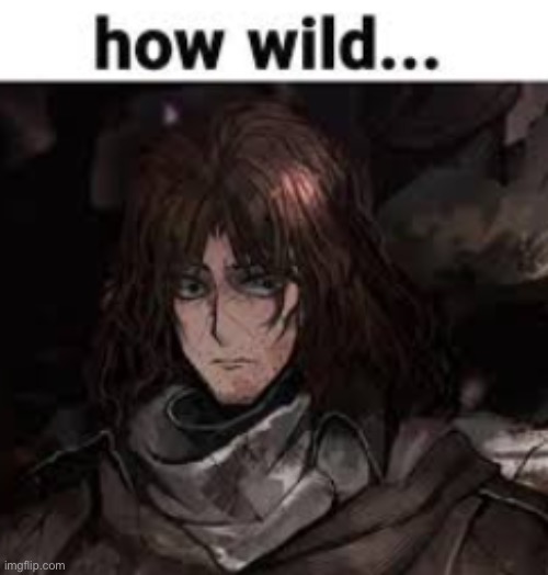 how wild... | image tagged in how wild | made w/ Imgflip meme maker