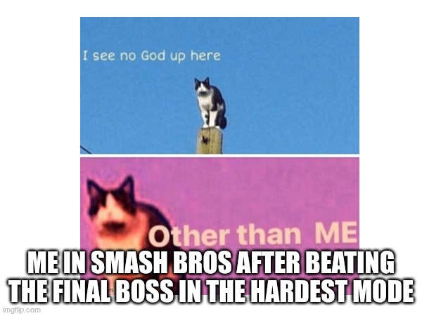 I AM THE ONE ABOVE ALL | ME IN SMASH BROS AFTER BEATING THE FINAL BOSS IN THE HARDEST MODE | image tagged in cat,i see no god up here other than me,why are you reading the tags,gaming,super smash bros | made w/ Imgflip meme maker