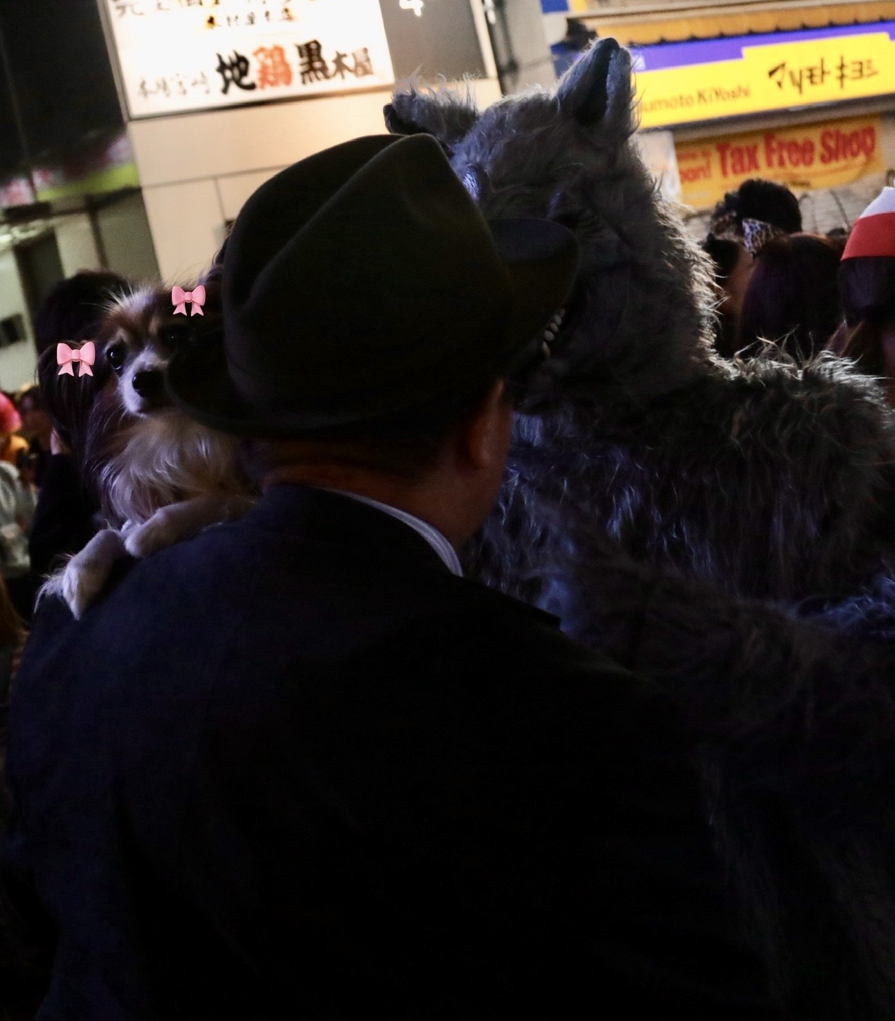 Scared Doggo G Blank Meme Template