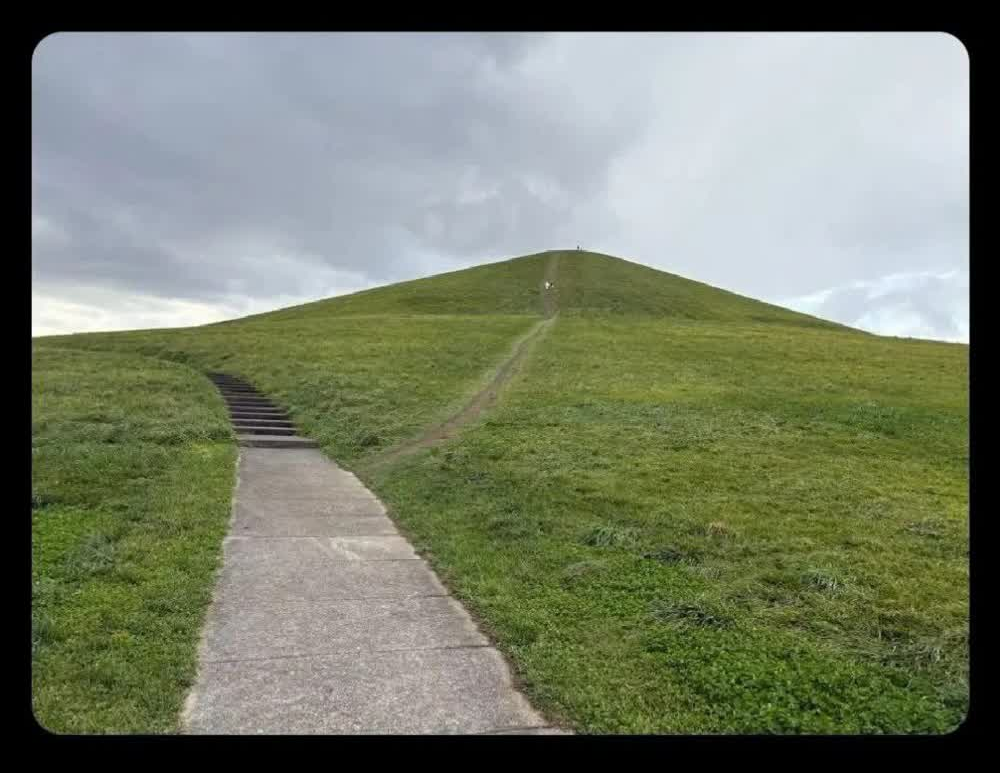 Desire Path Blank Meme Template