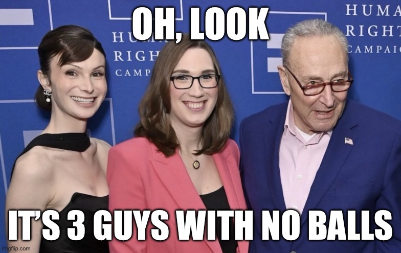 No Balls | OH, LOOK; IT’S 3 GUYS WITH NO BALLS | image tagged in chuck schumer,transgender,politics,political meme,politics lol,democrats | made w/ Imgflip meme maker