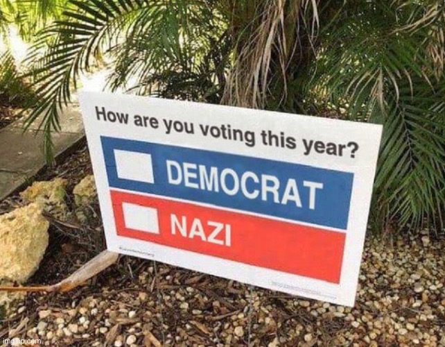 How are you Voting?  Democrat or Nazi? | image tagged in how are you voting democrat or nazi | made w/ Imgflip meme maker