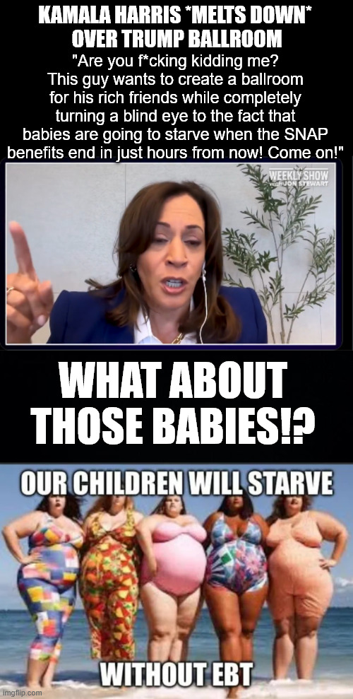 Latest Kamala meltdown...  She's been hitting the bottle hard again... LOL | KAMALA HARRIS *MELTS DOWN*
 OVER TRUMP BALLROOM; "Are you f*cking kidding me? This guy wants to create a ballroom for his rich friends while completely turning a blind eye to the fact that babies are going to starve when the SNAP benefits end in just hours from now! Come on!"; WHAT ABOUT THOSE BABIES!? | image tagged in kamala harris,another drunken rant,schumer shutdown | made w/ Imgflip meme maker