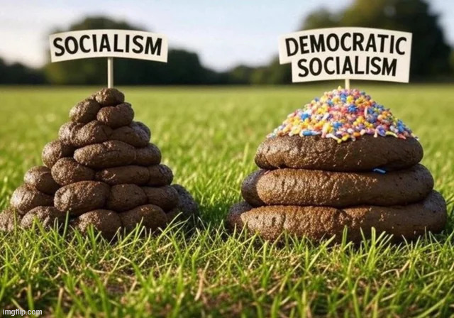 Socialism for dummies | image tagged in socialism for dummies | made w/ Imgflip meme maker