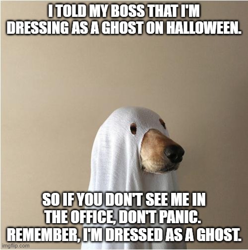 Ghost Doge | I TOLD MY BOSS THAT I'M DRESSING AS A GHOST ON HALLOWEEN. SO IF YOU DON'T SEE ME IN THE OFFICE, DON'T PANIC.  REMEMBER, I'M DRESSED AS A GHOST. | image tagged in ghost doge | made w/ Imgflip meme maker