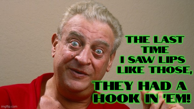 Rodney Dangerfield | THE LAST TIME
I SAW LIPS 
LIKE THOSE, THEY HAD A 
HOOK IN ‘EM! | image tagged in rodney dangerfield | made w/ Imgflip meme maker