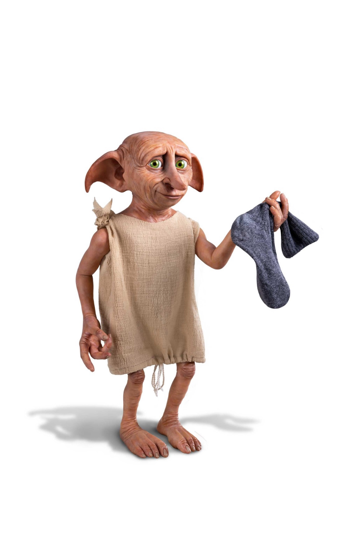 Master has given dobby Blank Meme Template