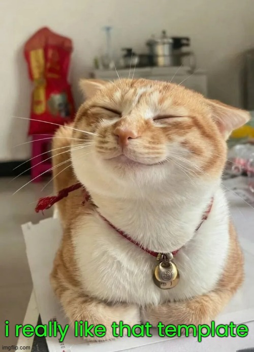 i really like that template | made w/ Imgflip meme maker